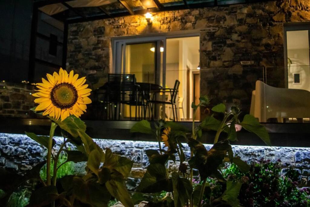 Apartament Istron Avra Kalo Chorio  Zewnętrze zdjęcie